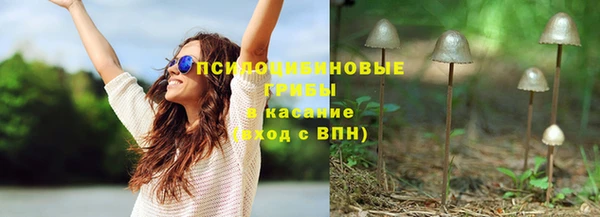 бутират Нестеровская