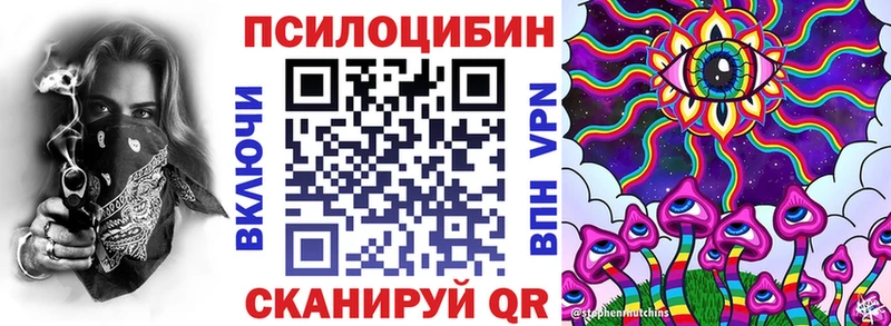 Псилоцибиновые грибы мухоморы  где купить наркоту  Москва 