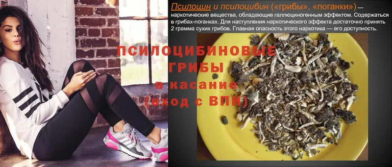 где купить наркоту  Москва  Галлюциногенные грибы Psilocybine cubensis 