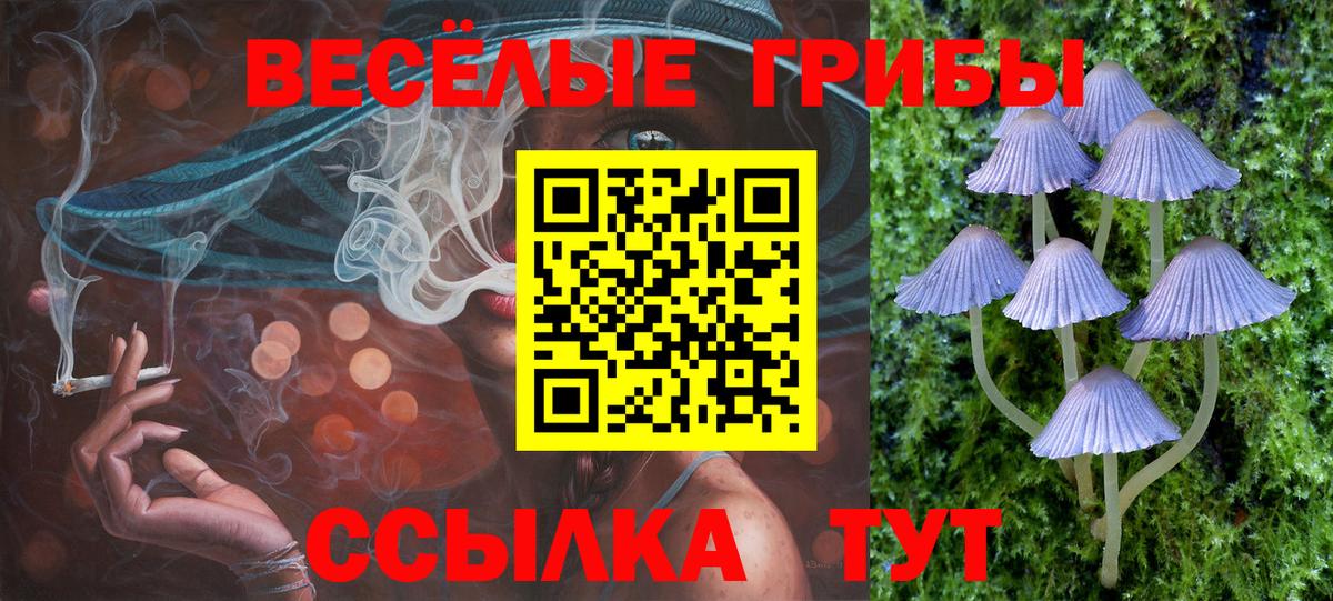 магазин продажи наркотиков  Вход с VPN  Москва  Галлюциногенные грибы Cubensis 