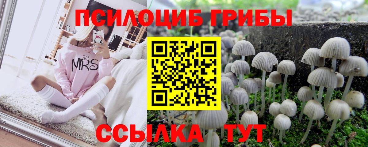 Псилоцибиновые грибы ЛСД Москва